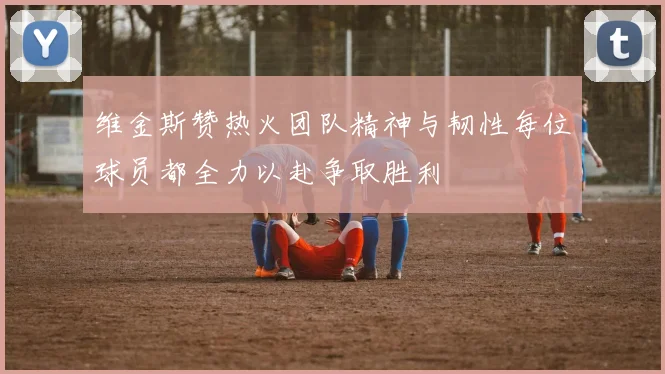维金斯赞热火团队精神与韧性每位球员都全力以赴争取胜利